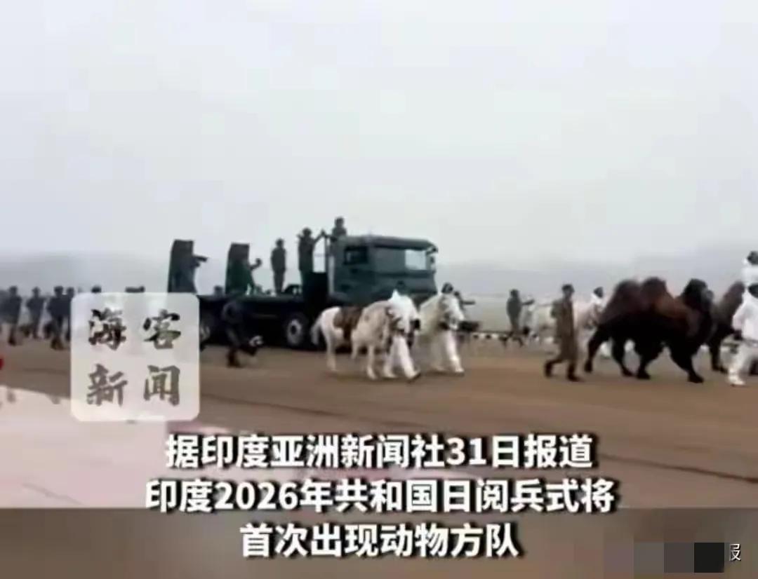 骆驼打头阵！印度2026阅兵惊现动物方队，网友炸锅：军事实力还是马戏团？
 
印