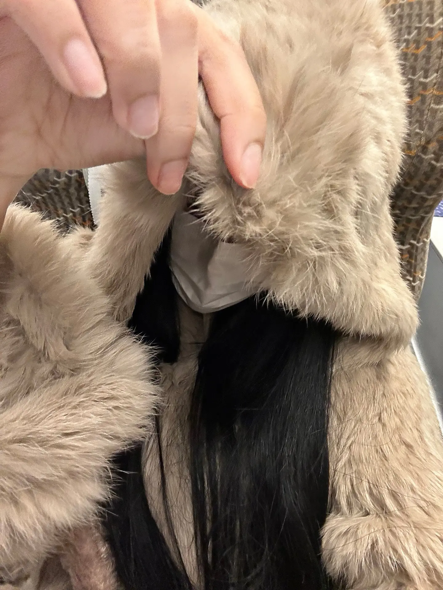 输赢真的有一起吃早饭重要吗