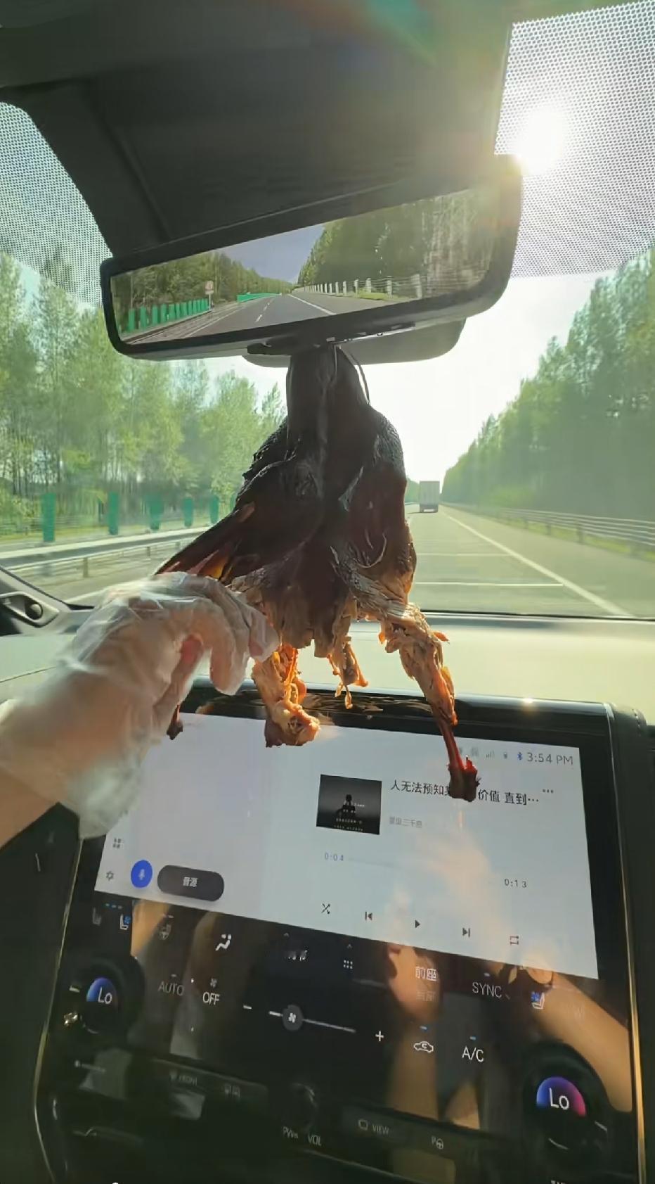 这算不算危险驾驶[捂脸]
