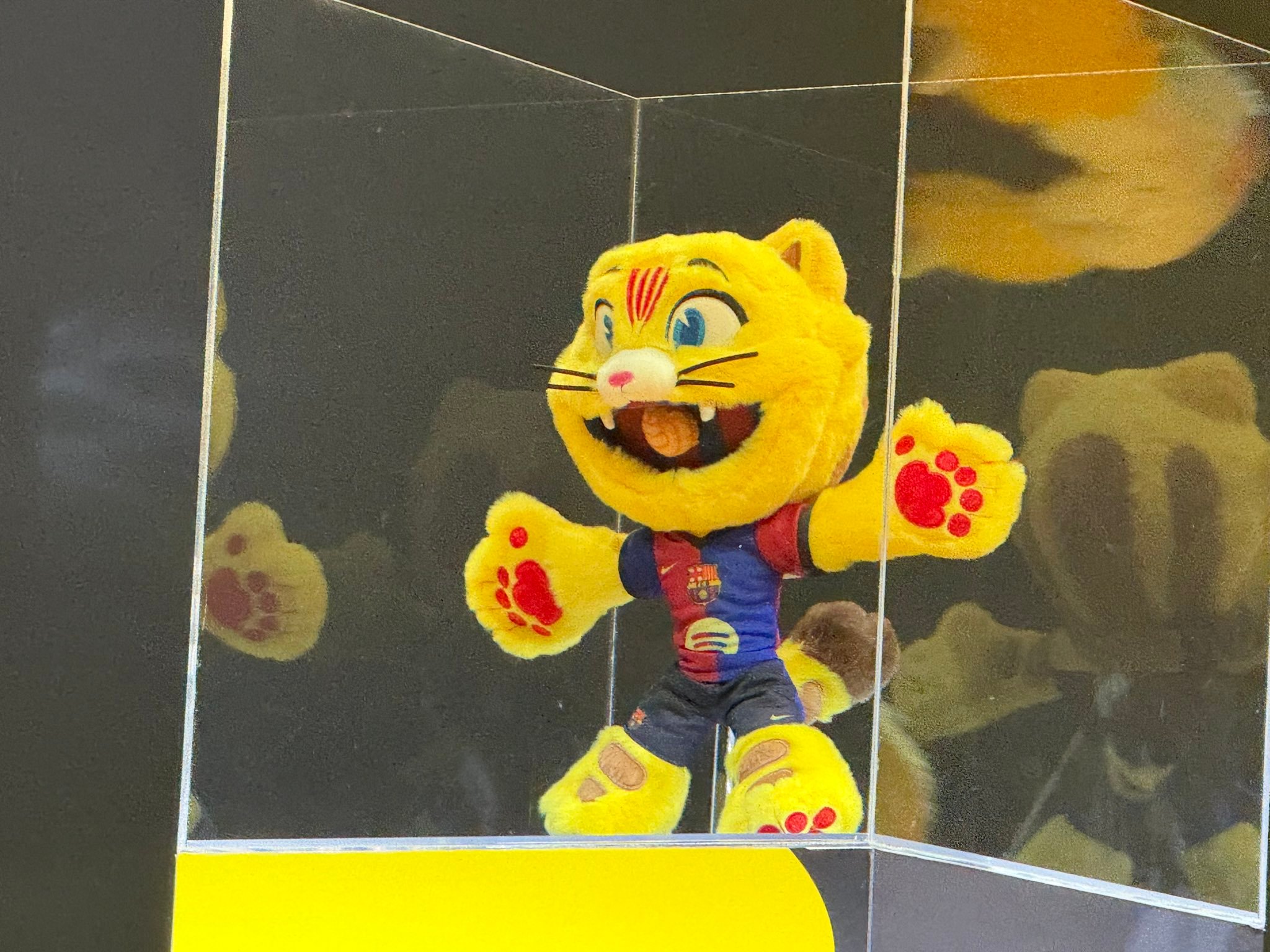 巴萨吉祥物cat毛绒玩具售价在35欧元🐱❤️💙💶巴萨热点现场贝蒂斯vs巴萨