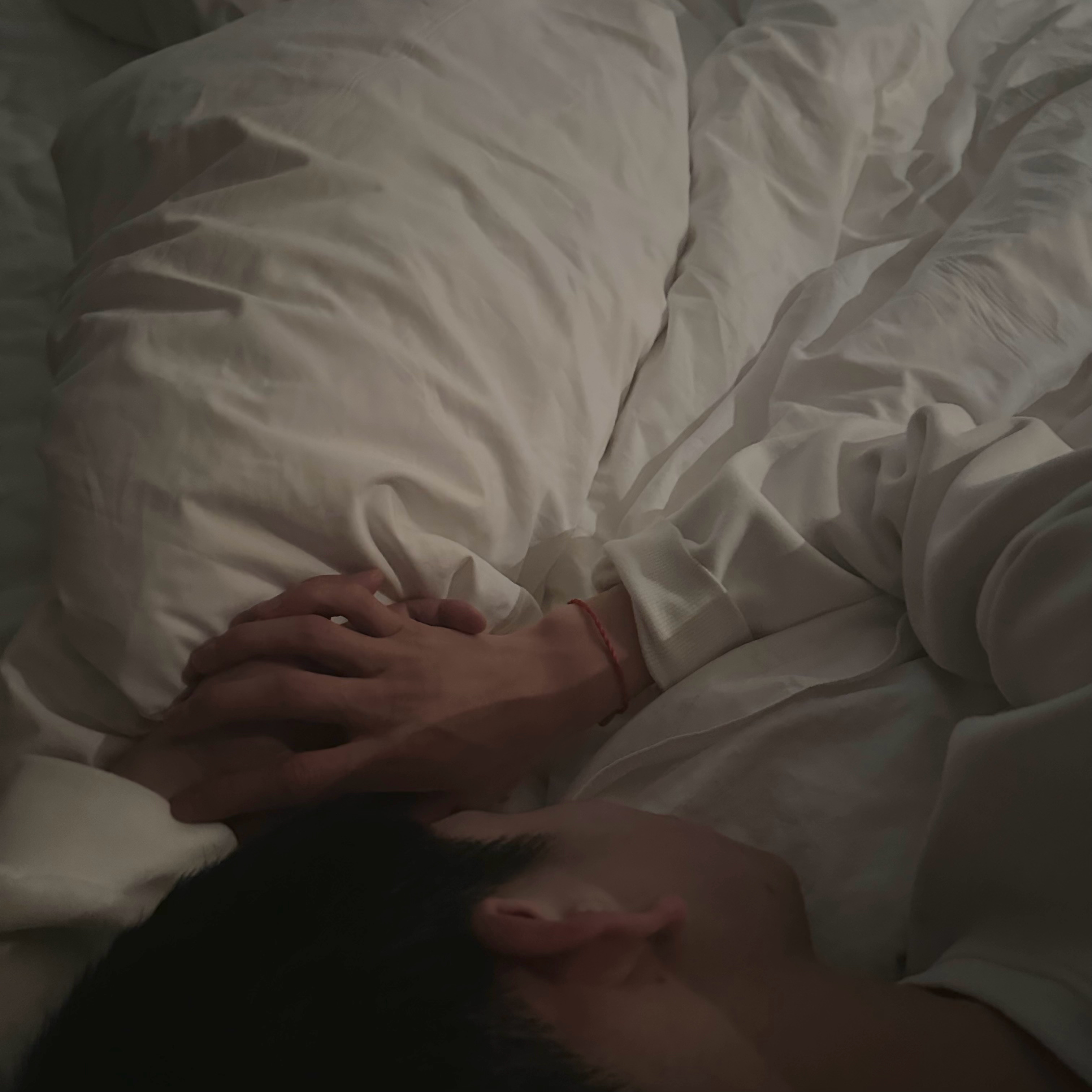 我的年夜饭​​​