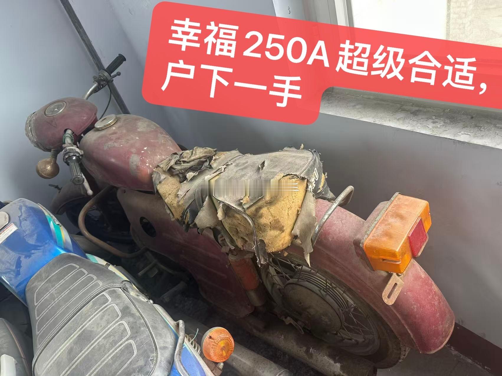 幸福250A~~~这样了还有收藏价值吗？？？ 海阔试车超话