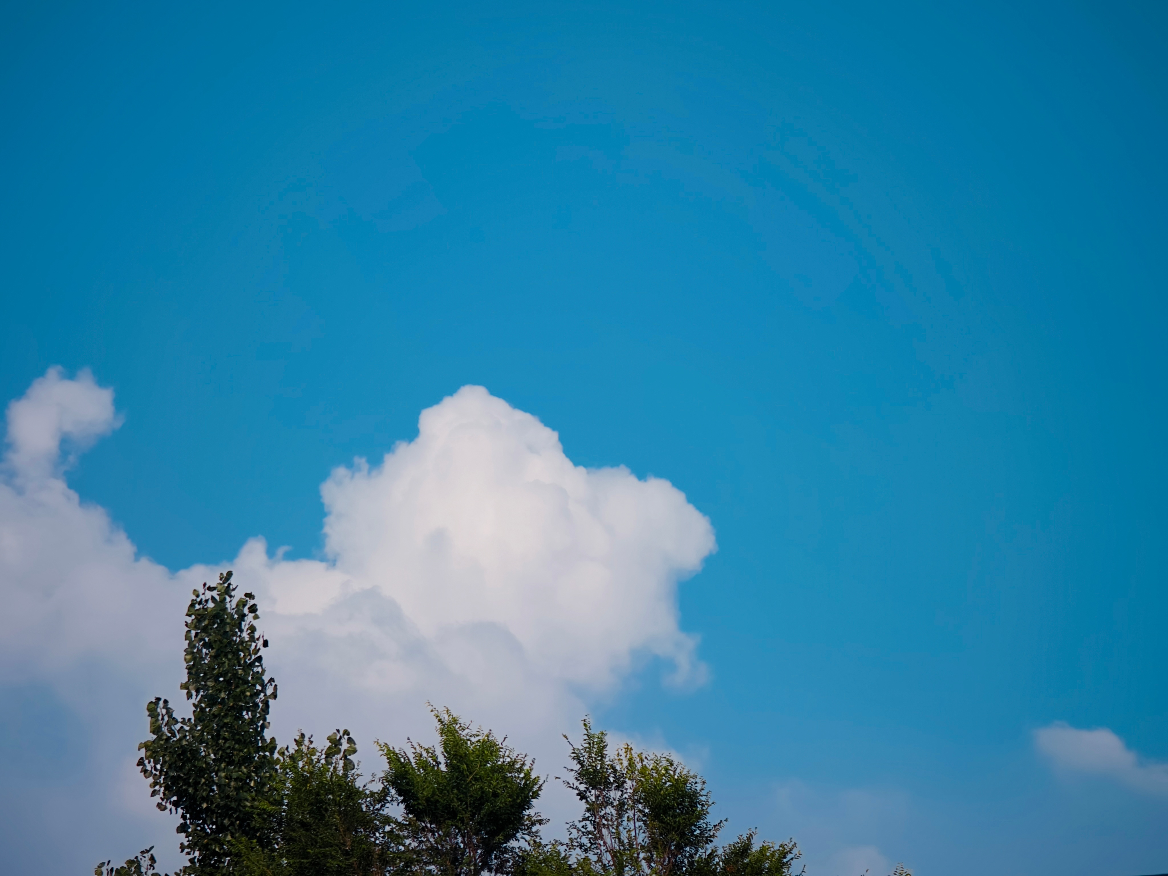 今日份天空随手拍的云一团蓬松的云☁️原图直出