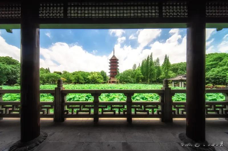 荷花全身都是宝这话一点不假！《本草纲目》就记载荷花从花到根都是宝。
荷花能做成香