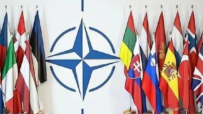 翻天了，儿子管到老子头上来了。
二月十日北约发布新闻公告:北约成员国同意，在北约