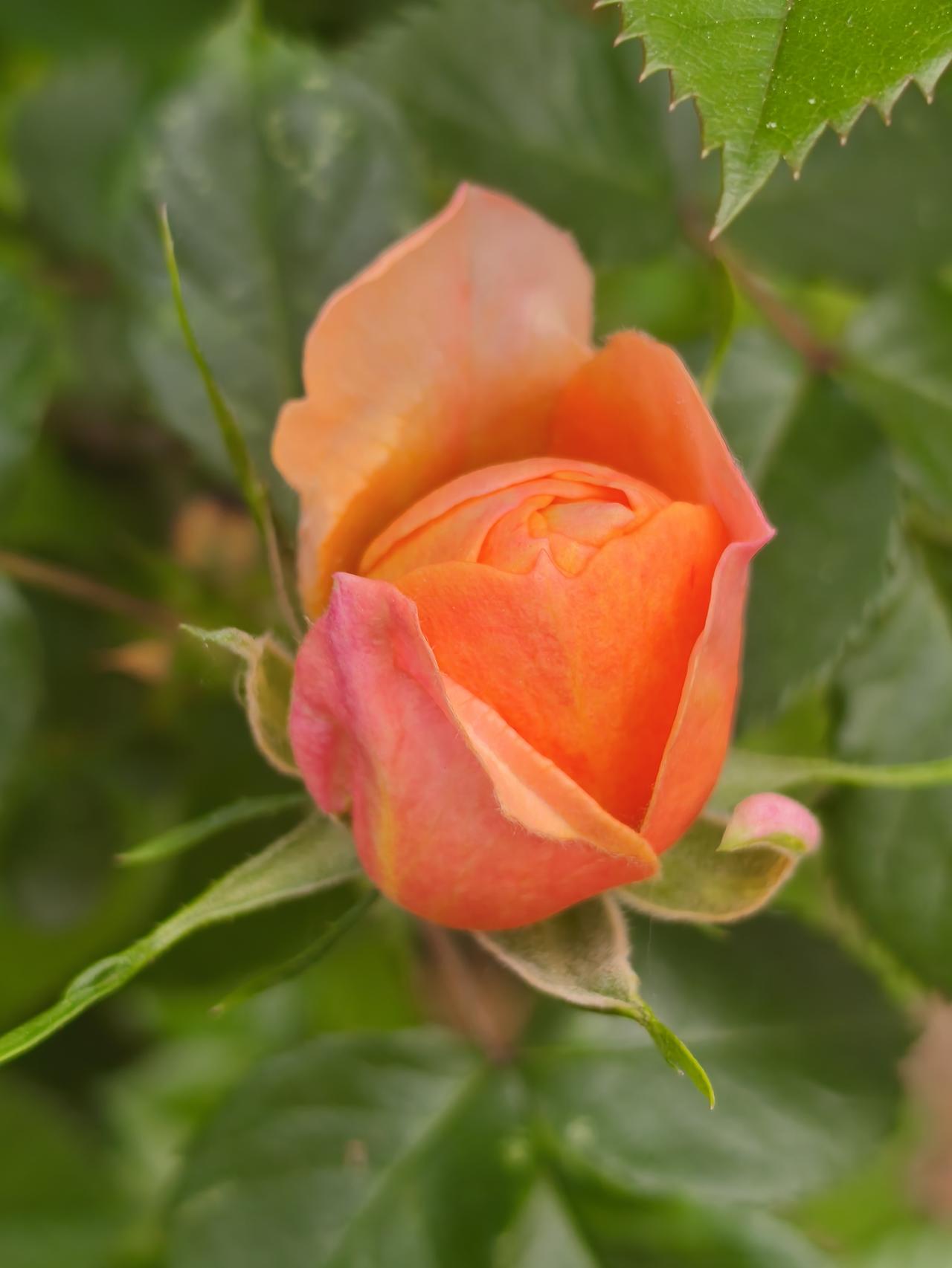 说话少了，似乎仅仅是打个招呼。
没有了推心置腹，没有了推杯换盏，没有了握手寒暄，