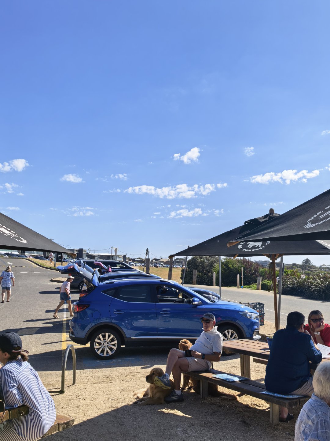 开MG名爵，享爵士人生