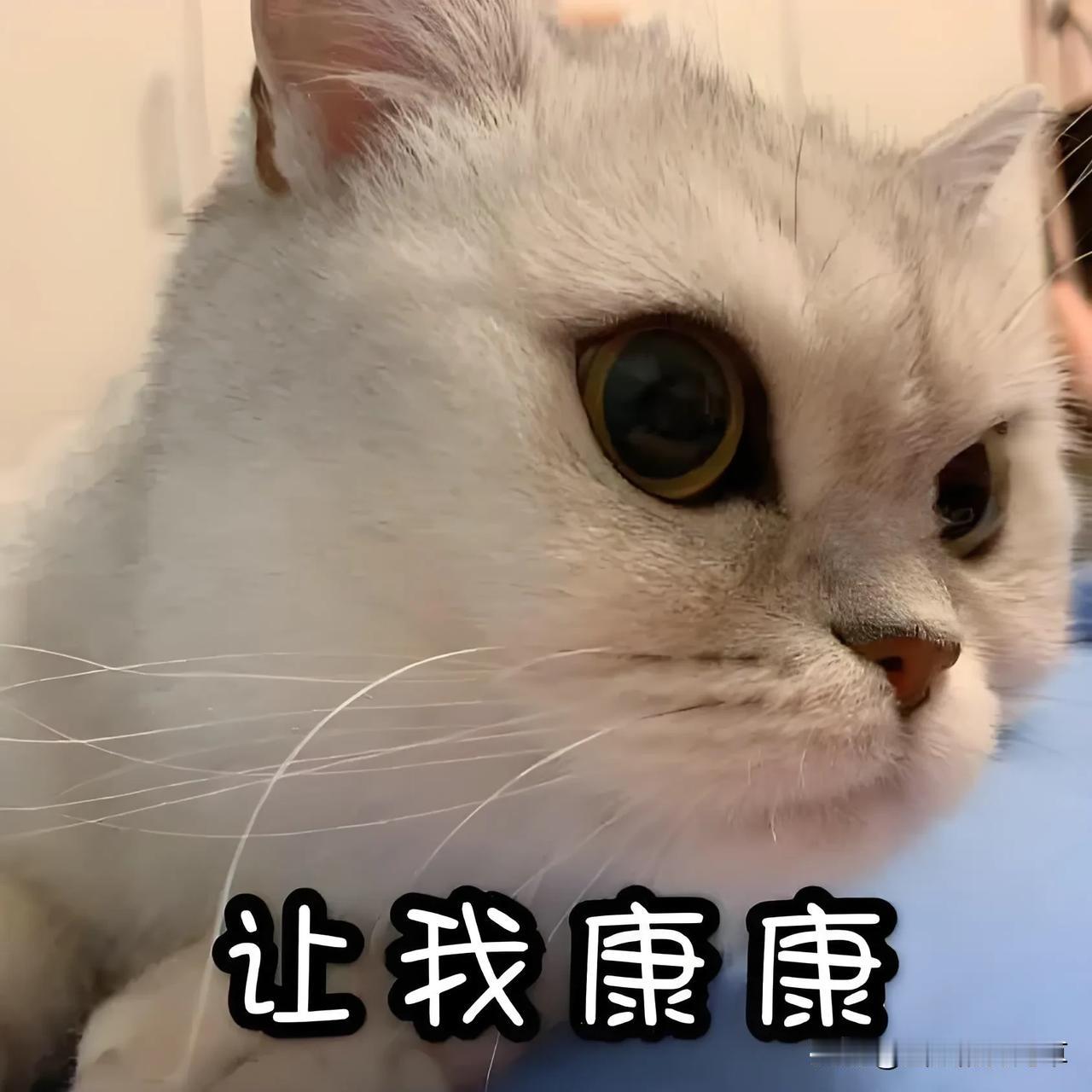 你听到的那些离谱又真实的八卦

妇科医生：今天接诊了一个女病人，她信誓旦旦的说自