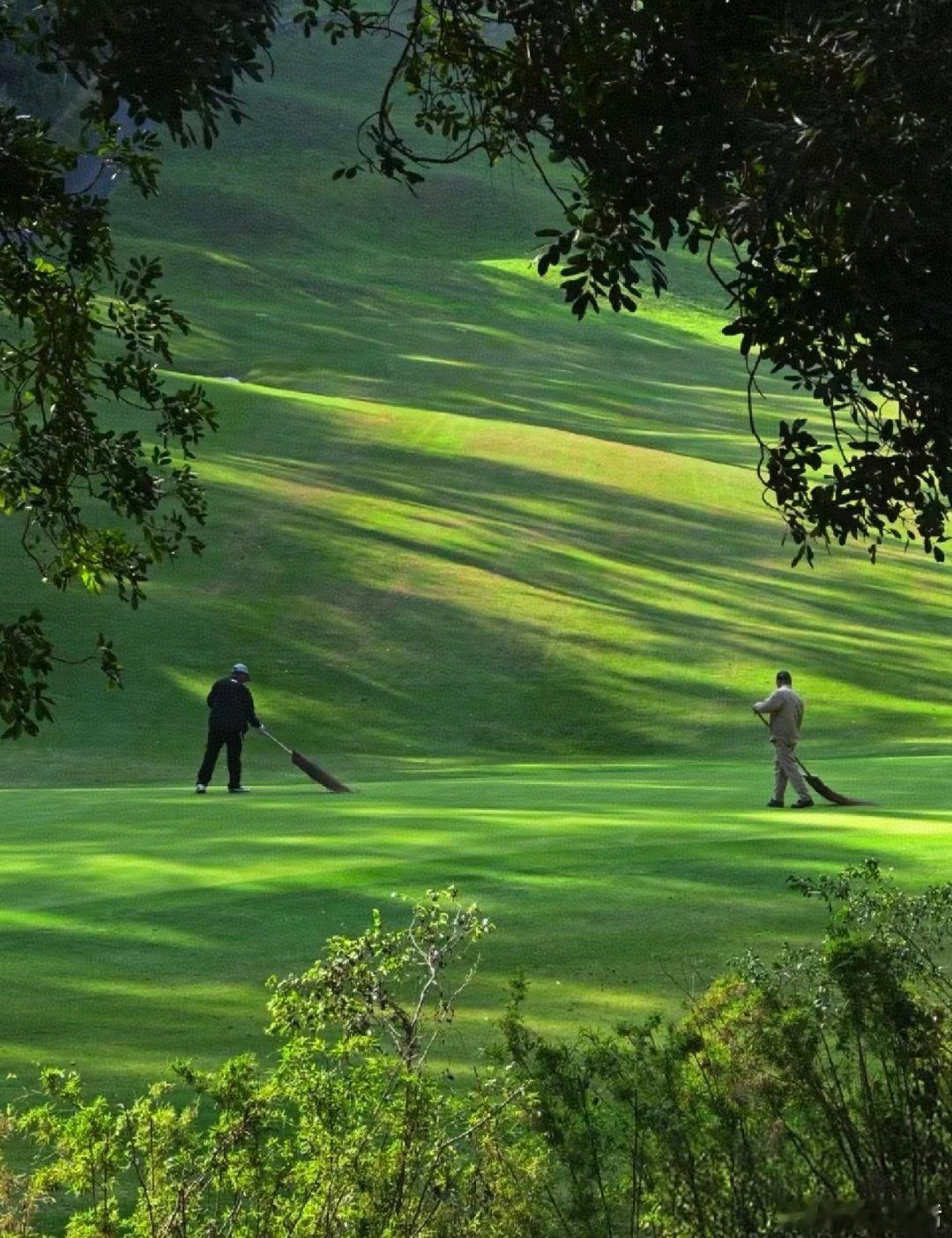 广州麓湖森林公园，体验落羽杉水墨画氛围感 