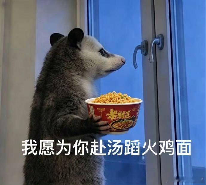 陈晓卿说李诞是谐音梗不耐受体质一饭封神 李诞全程认真倾听却接不上梗的样子，又真诚