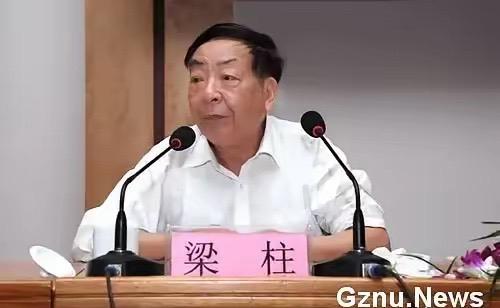 总疑惑，岛内最会伪装、最擅长欺骗民众的政客到底是谁。不用四处找寻，看完这一系列前