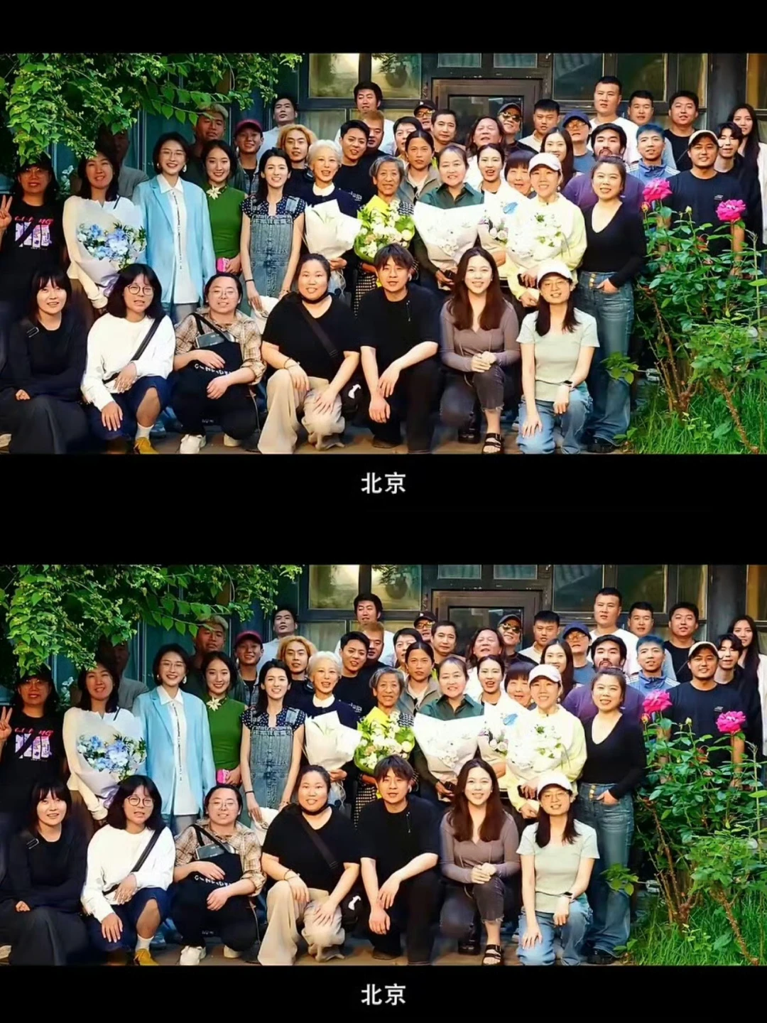 玉兰花开君再来全阵容