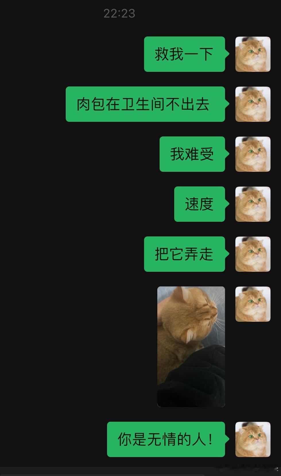 遇到一个无情的人！#萌宠##我家有宠初成长# ​​​