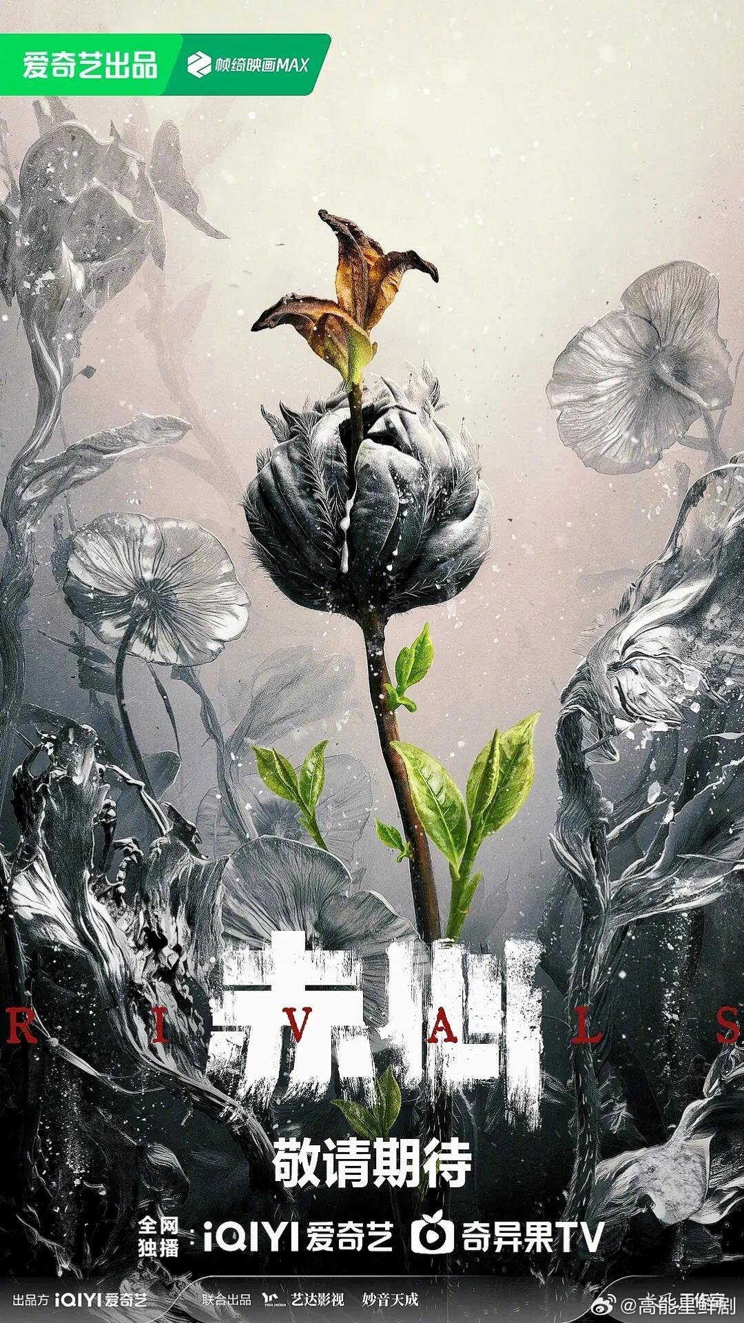 🍉《赤心》|爱奇艺刑侦悬疑剧《赤心》主演：陈哲远导演：刘新《不可告人》《猎狐》