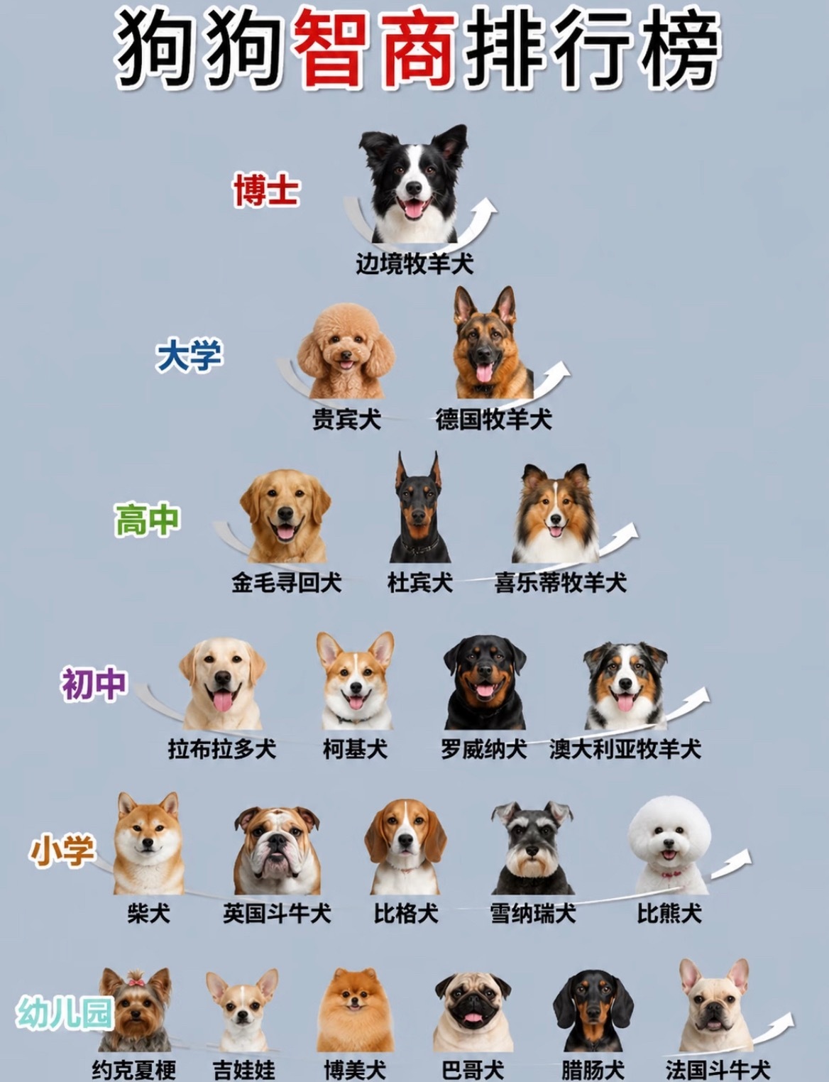感觉女明星的智商肯定是博士级别的怎么可能跟我家的小学生一样呢刘呆米
