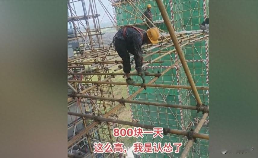 我侄子大三那年暑假没回家，一头扎进工地当了架子工。

堂哥在电话里气急败坏，说这