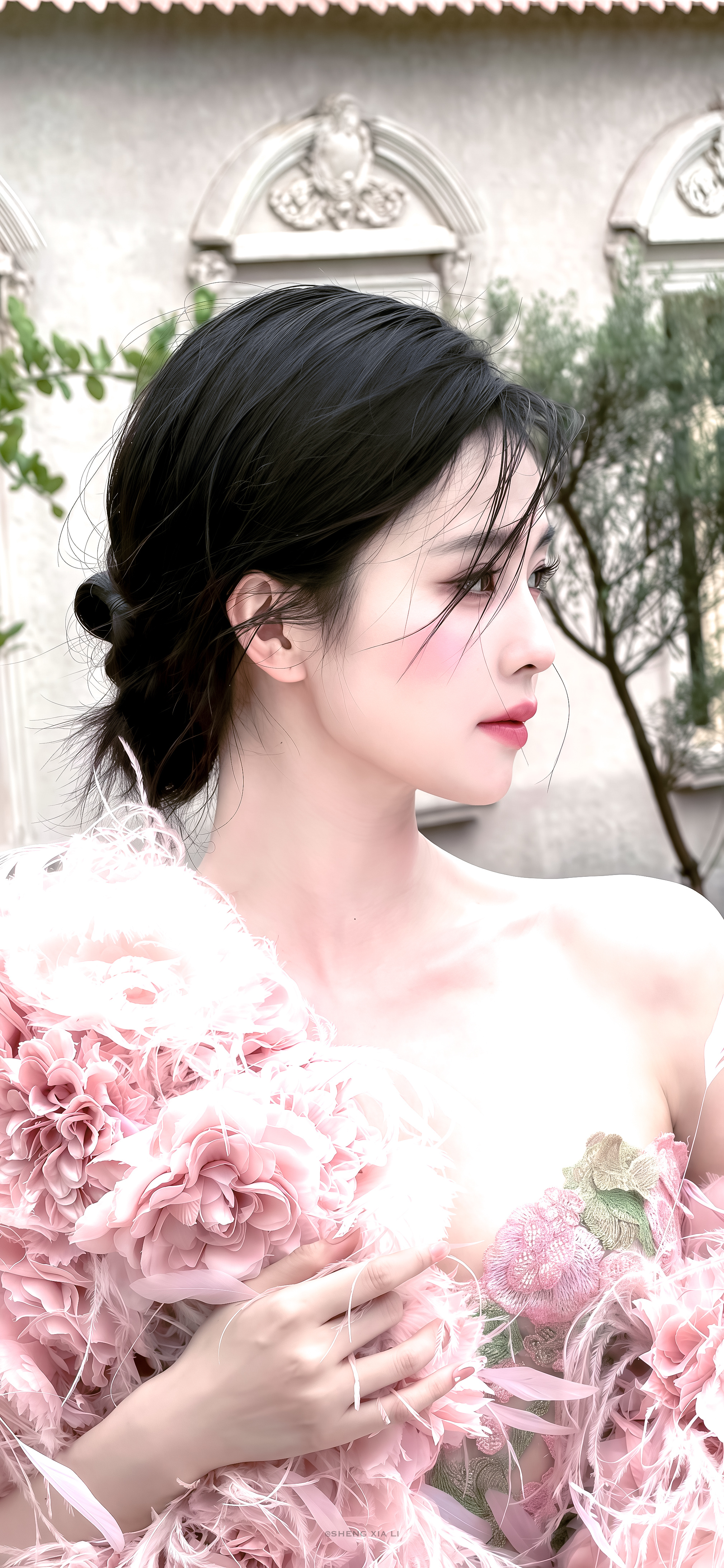 白鹿·桃花处处浓🌺🌷·头像壁纸更新～ ​​​