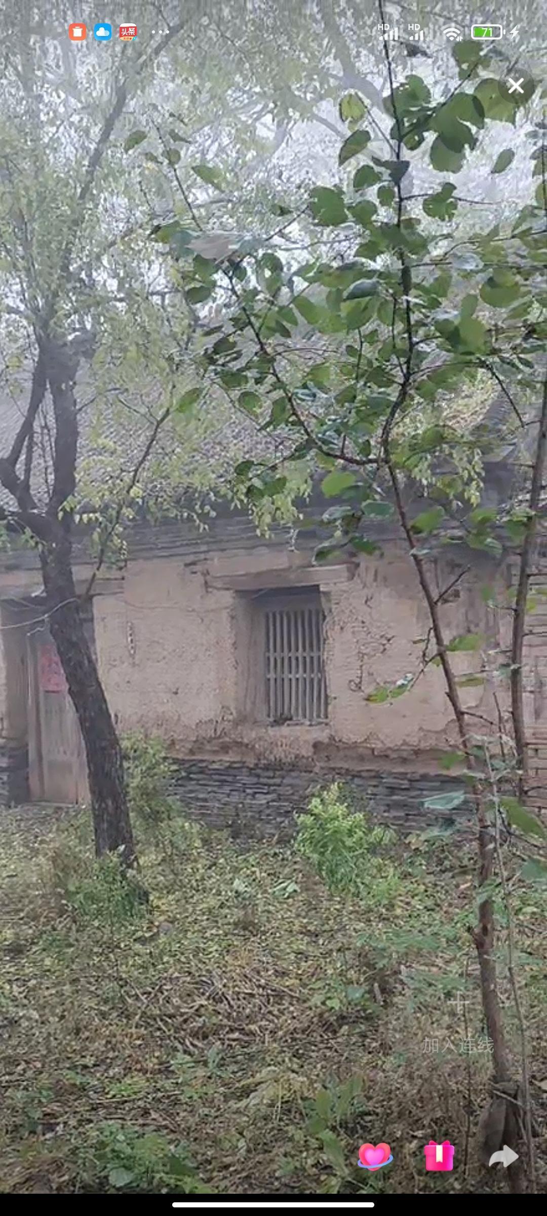 豫东今早有大雾！
  今天早上，河南豫东虞城有大雾。刚刚外出溜达溜达，能见度不足