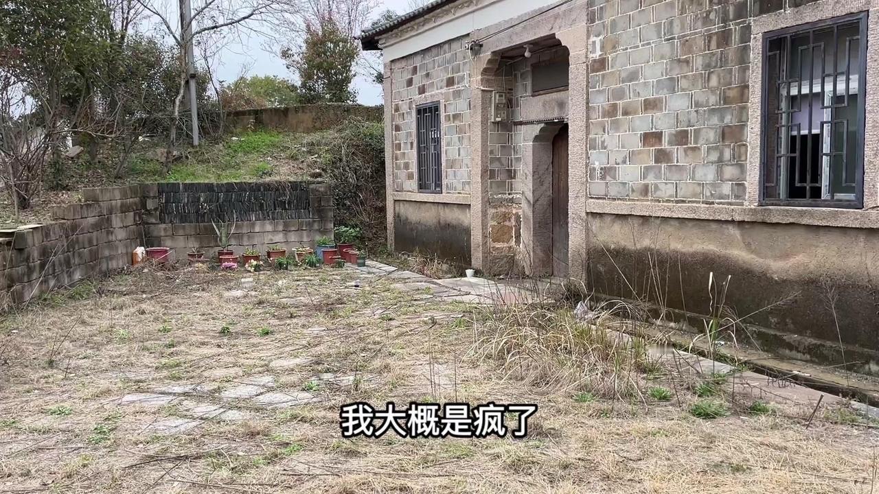 🏡花友都知道月季是强阳性植物，每天必须3小时以上日照才能爆盆。但我太想给月季最