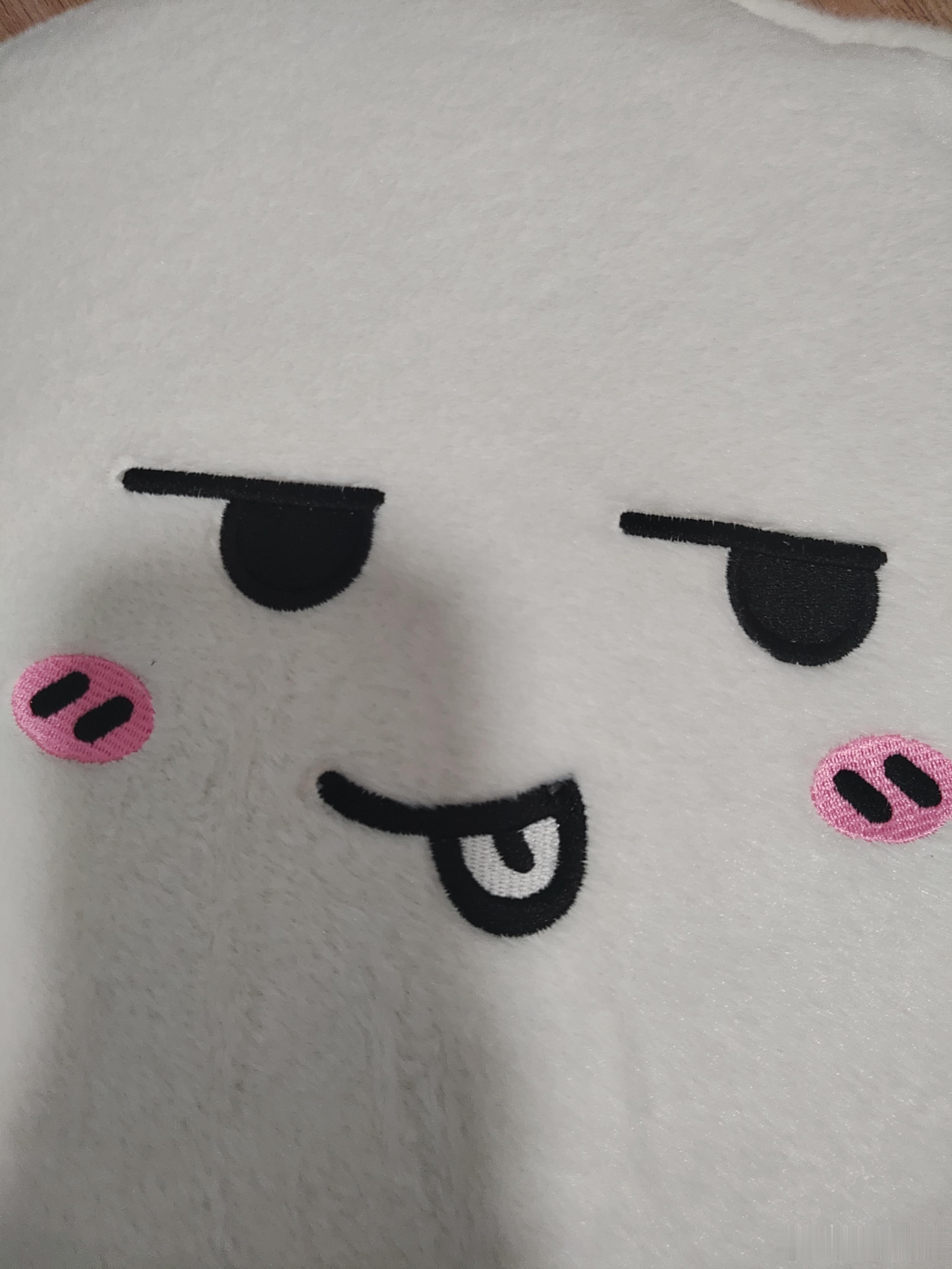 离不开这个大饺子了🥸每天抱着好舒服 