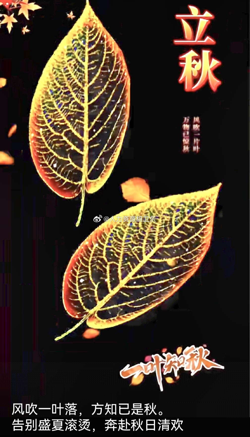 梧桐一叶落，天下尽知秋。蝉鸣渐歇，桂香暗涌，山川换色，岁月留痕。把上半年未竟的心