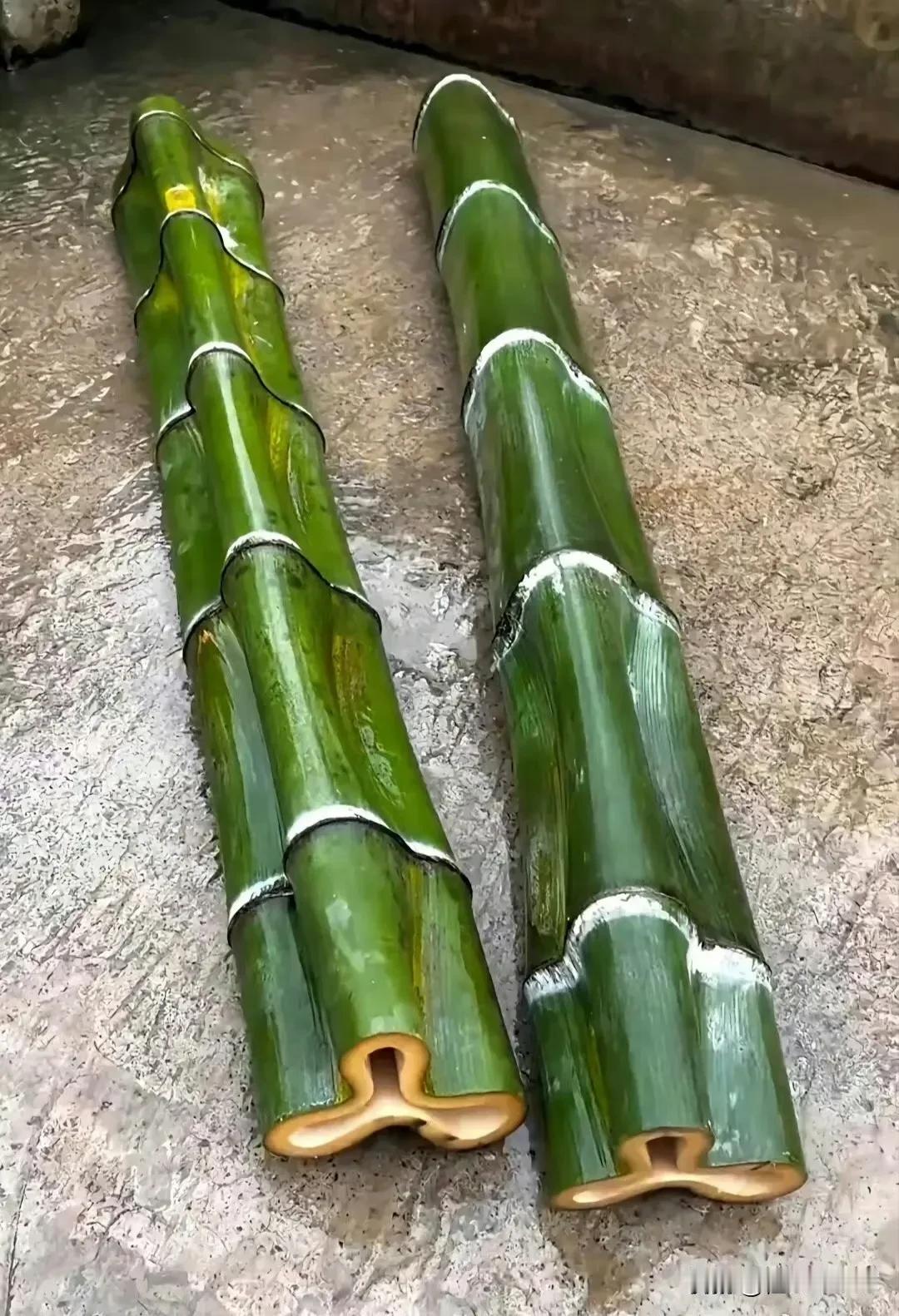 这是什么品种的竹子，你见过吗？