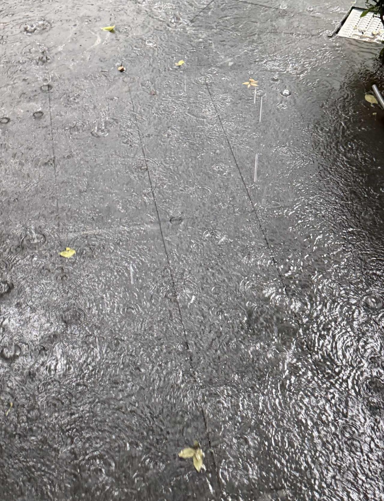 杭州 我并不知道你怎么了
下雨记得带伞 暴雨 上班下班