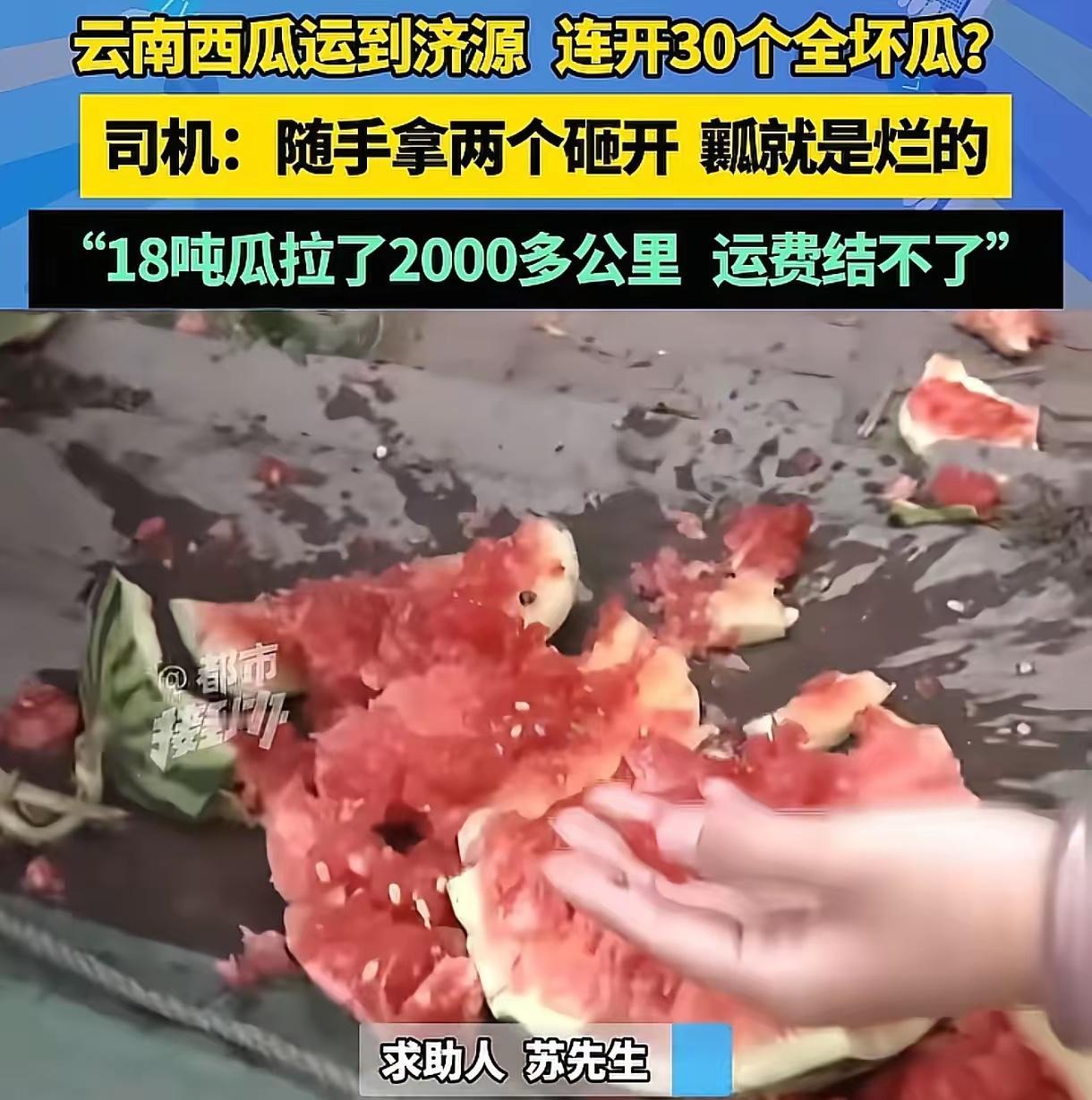 男子从云南运了18吨西瓜到济源，可收货方一检查，连开了30个瓜，外面都是好好的，