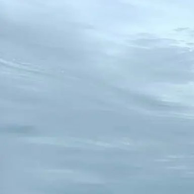 相信梦想是价值的源泉，相信眼光决定未来的一切，相信成功的信念比成功本身更重要，相