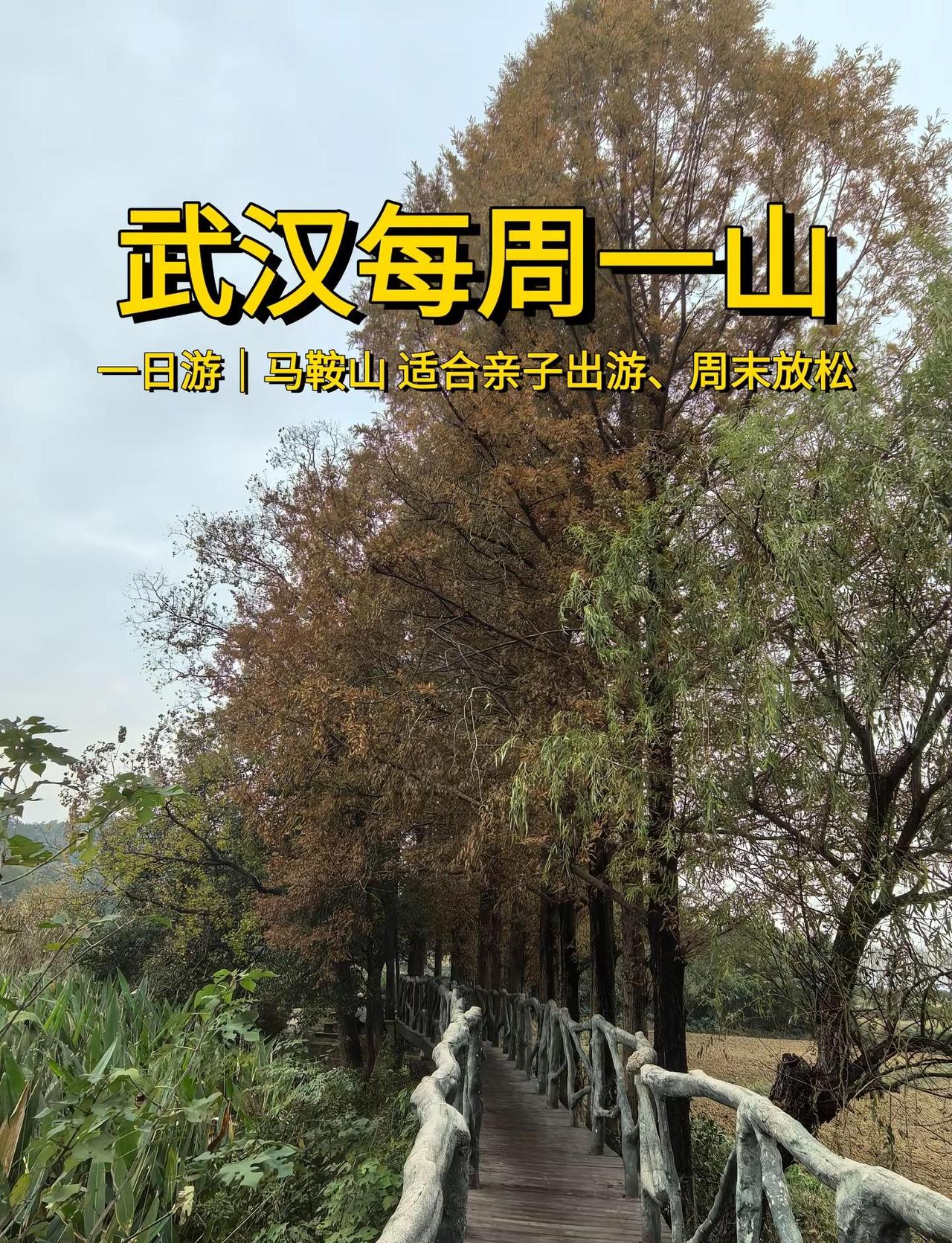 武汉每周一山，今天是马鞍山森林公园！🌸被誉为“东湖畔城市绿肺”，坐落于武汉市洪