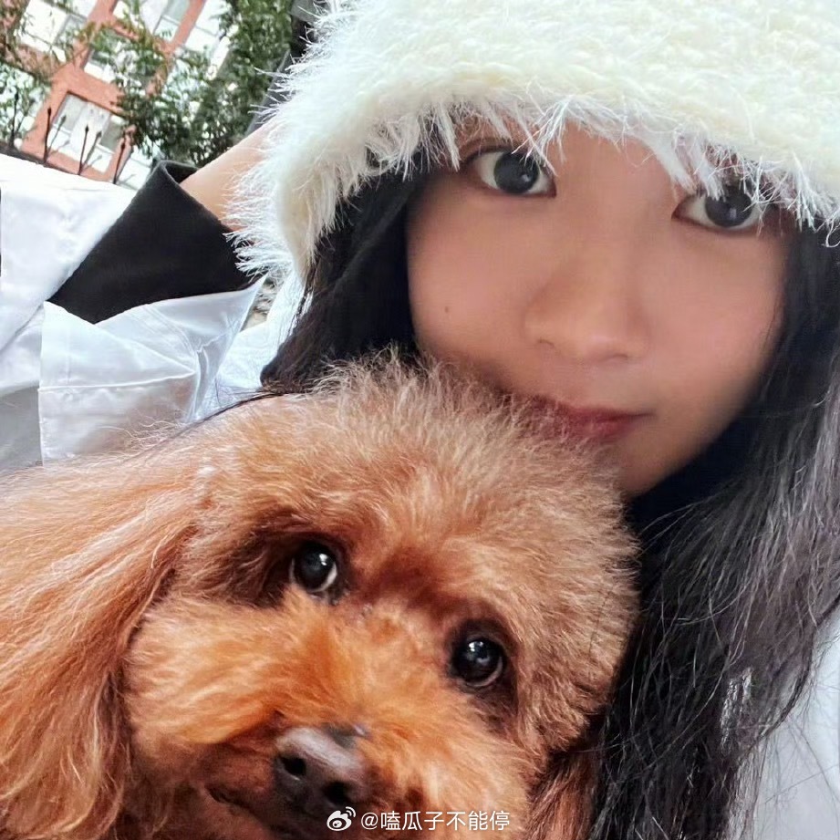 杨紫换头像了，新头像是和自己小狗的合照，好可爱