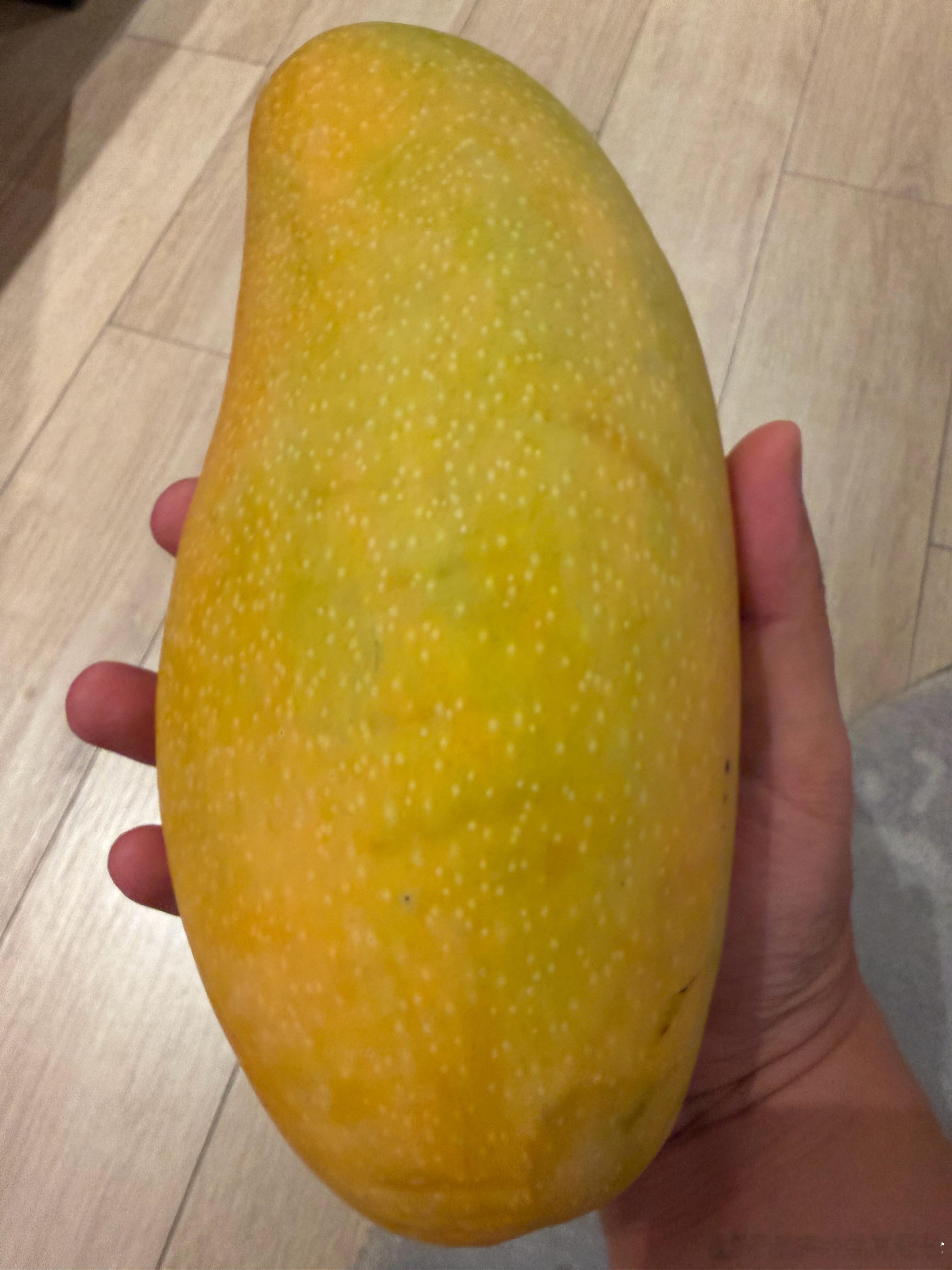 上课累了，啃个大🥭！ 北京