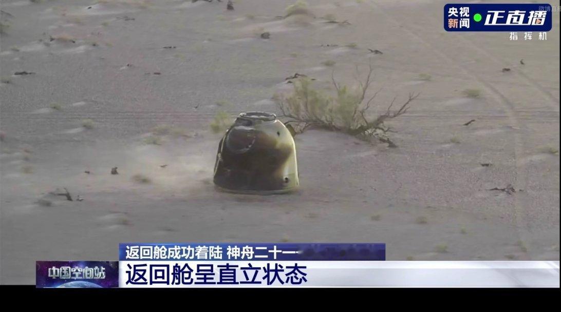 哟，是直立状态，难得 
