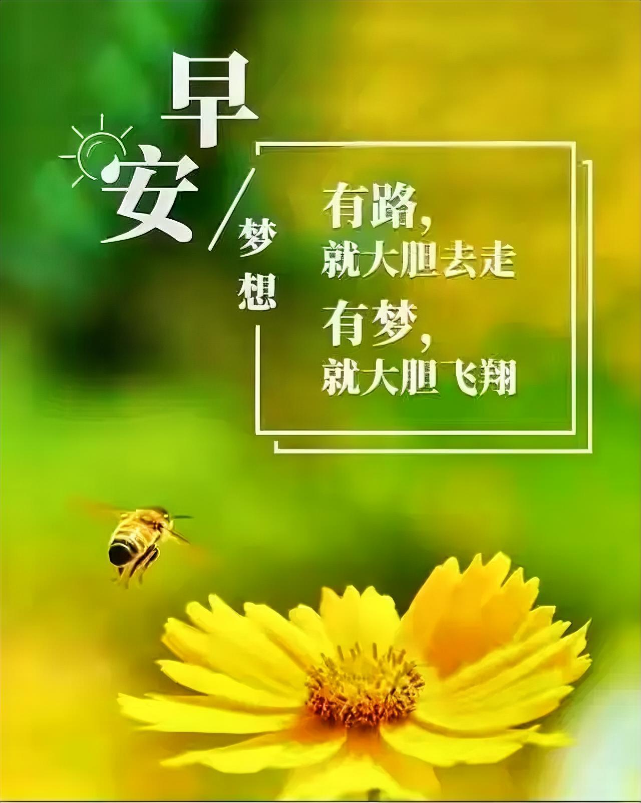 早安！小蜜蜂忙着采蜜，你也该勇敢追梦啦，有路大胆走，有梦尽情飞～
早安寄语打卡