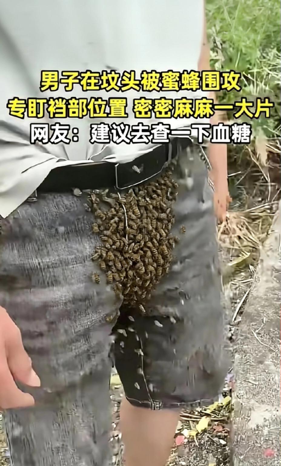 男子清明上坟被蜜蜂围攻裆部，网友却集体建议查血糖？
 
近日一则奇葩又让人忍不住