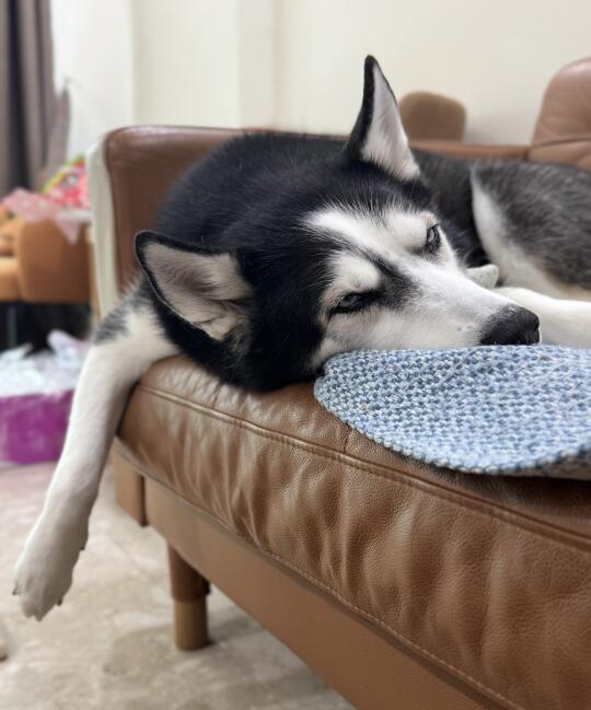 像不像上了一天班的你