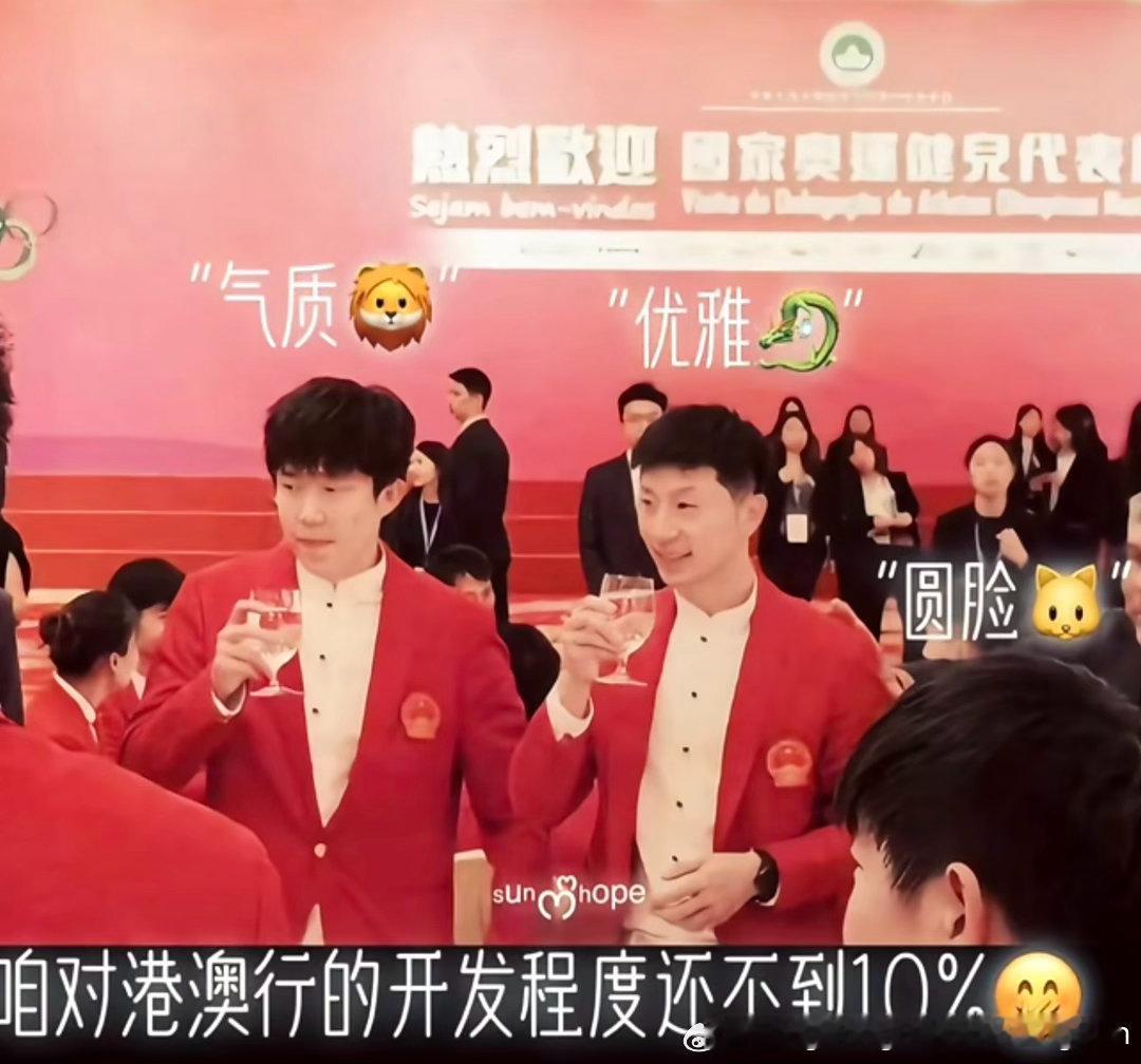 没见过王楚钦孙颖莎