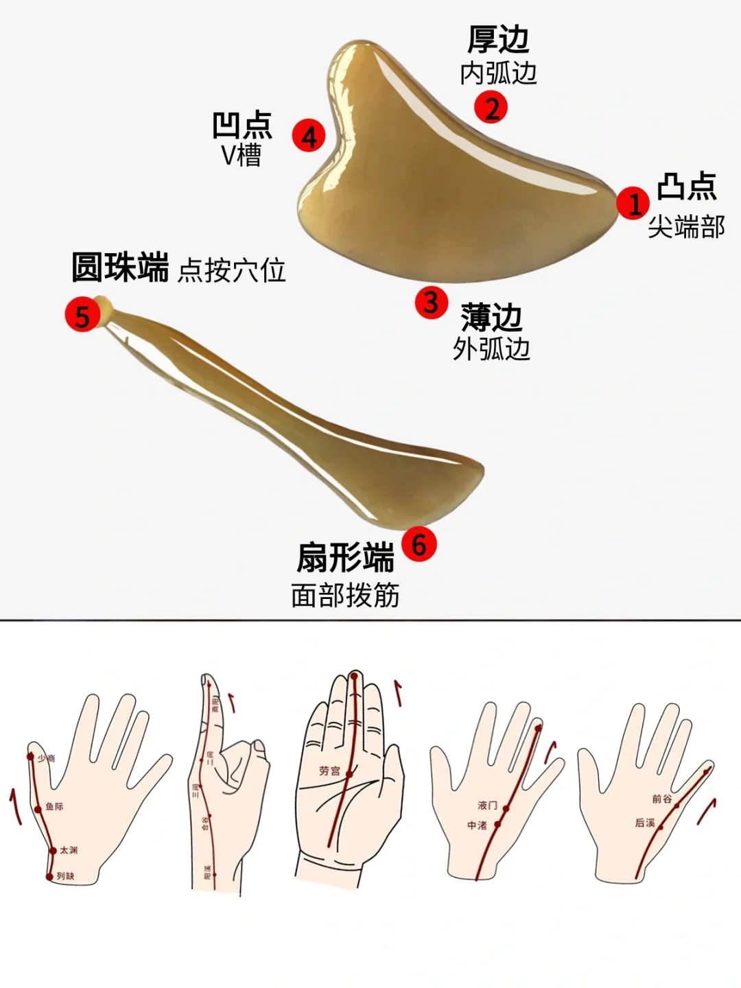 手部6条经络是怎么分布的 | 刮痧板拨筋棒