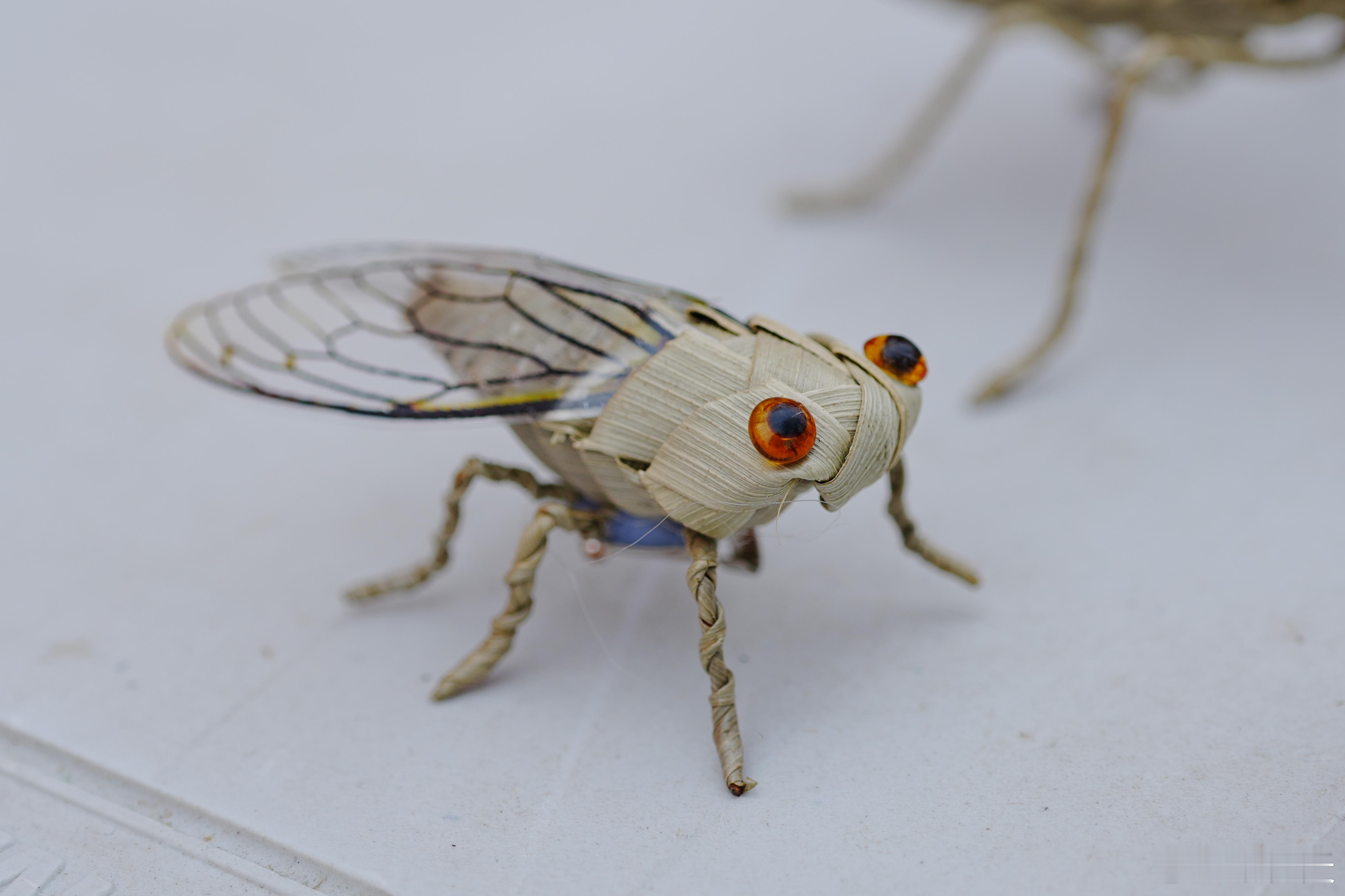 看到这些草虫的精致制作，我为自己能参与其中感到自豪，这不仅是一种艺术，更是一种对