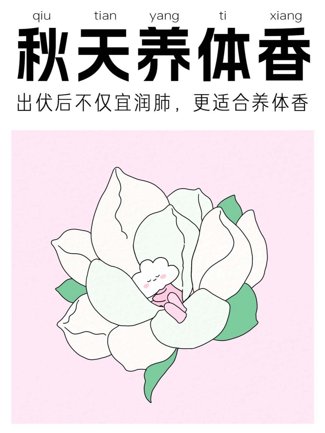 闻香识人，秋季如何养体香。