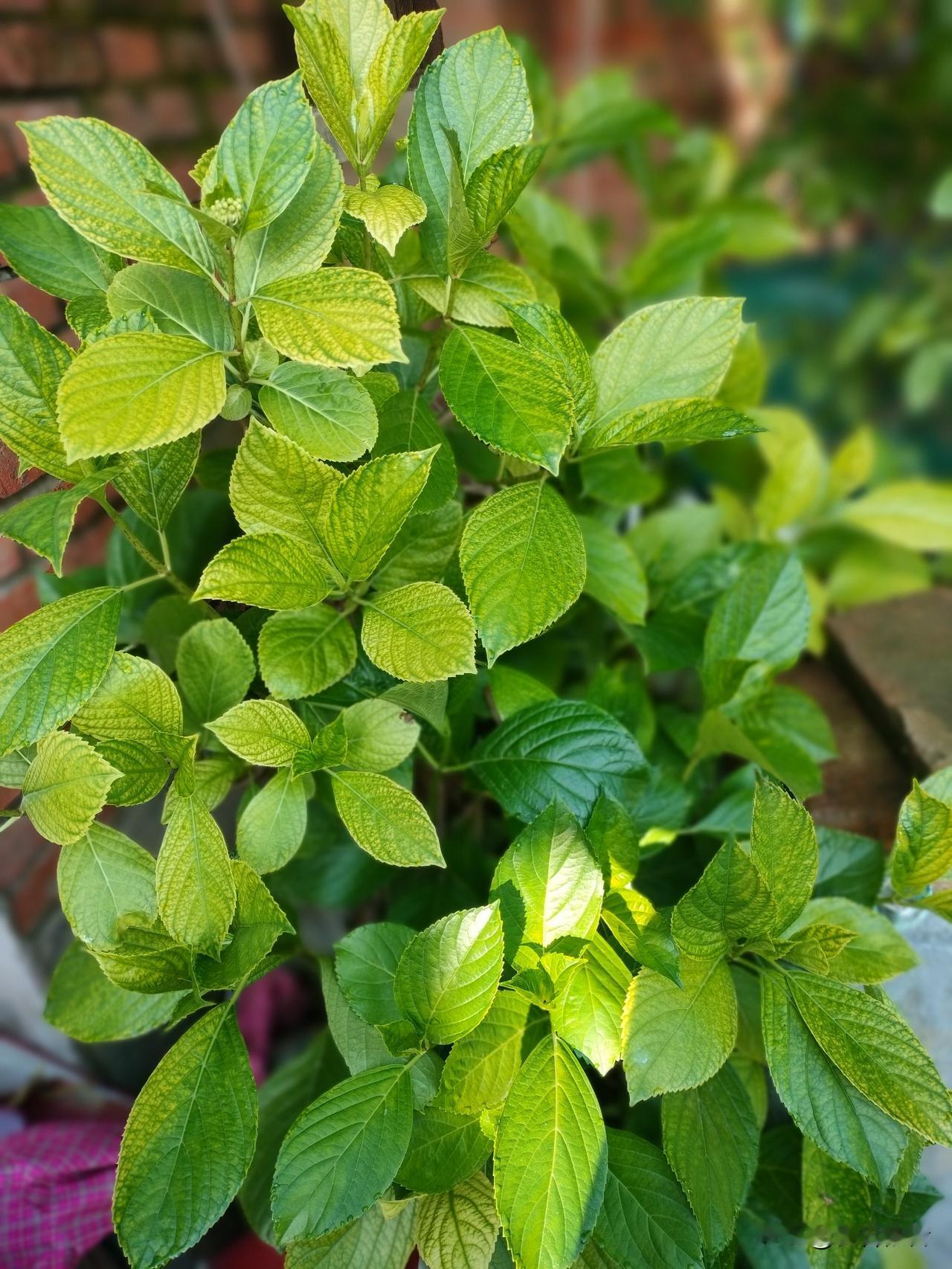 以前我总固执地认为，女儿是来报恩的，儿子反倒像是来报仇的。一个温和懂事、贴心柔软