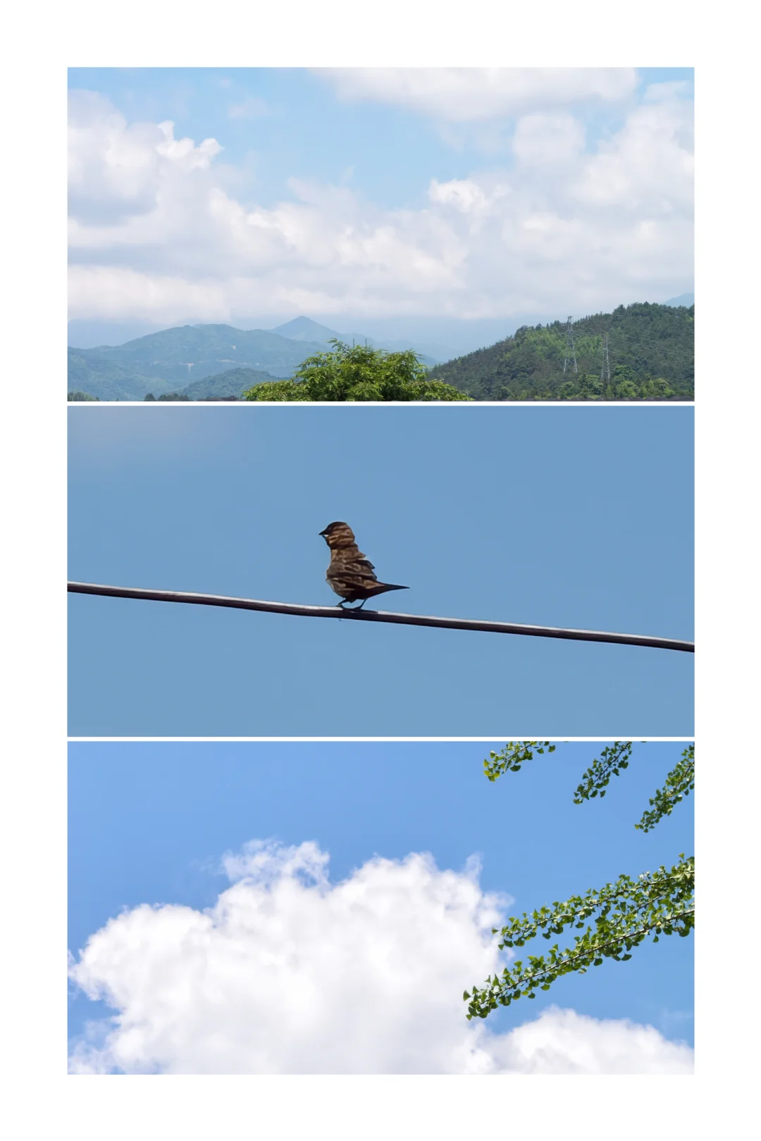 老家的风景