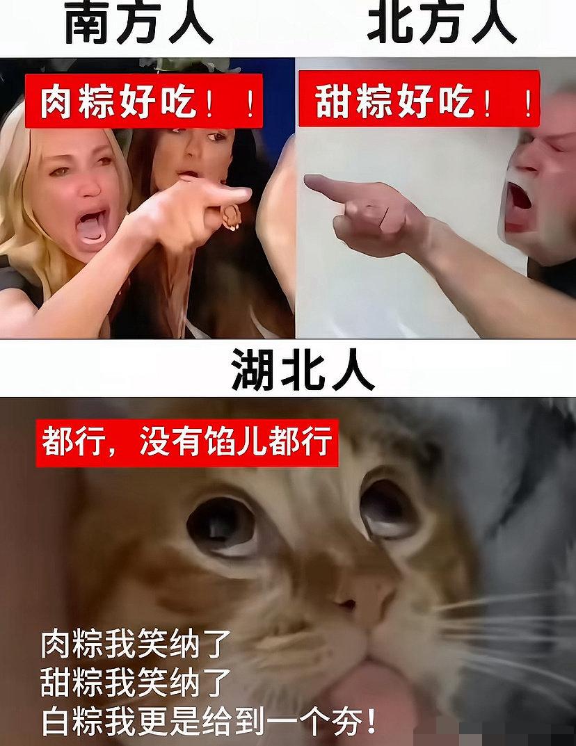 这下好了，再也不用讨论甜粽还是咸粽好吃了～各省人均一个味儿[捂脸]湖北省压根不需