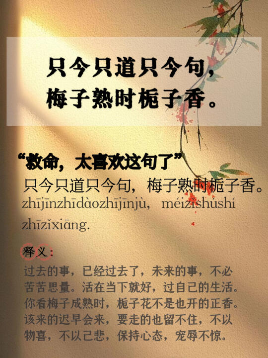 只今只道只今句，梅子熟时栀子香。