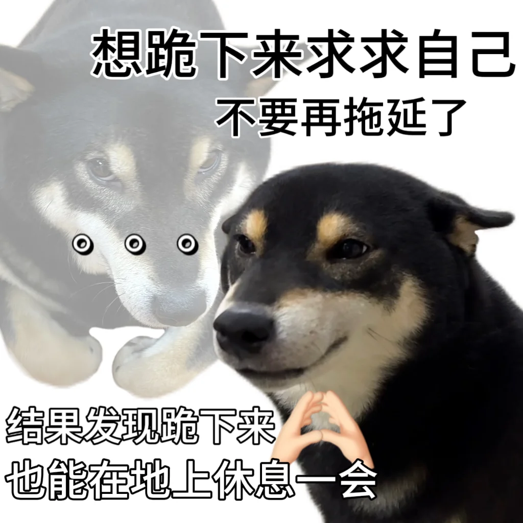 努力了很久！终于考到了！拖延症！😌