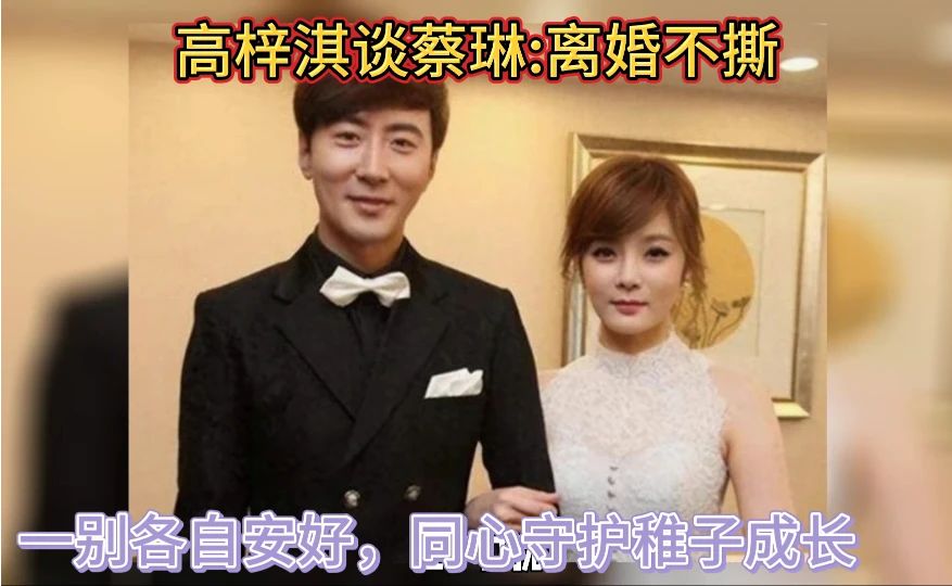 高梓淇与蔡琳离婚：爱情终有尽头💔