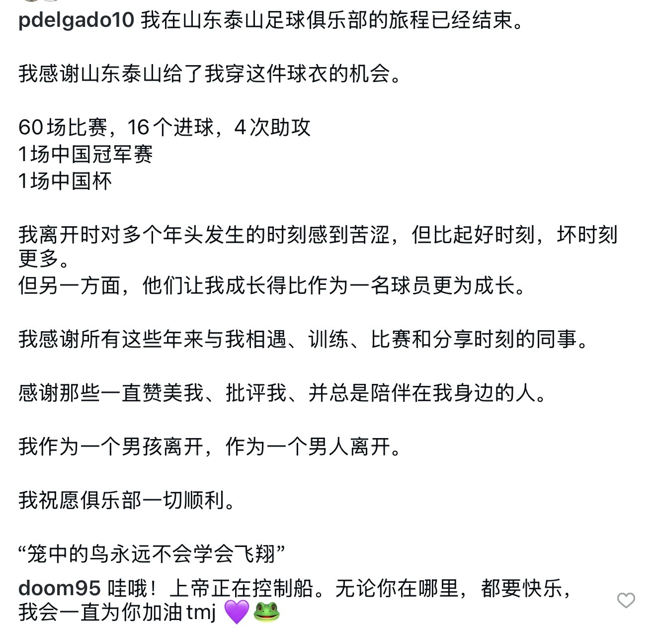 大连英博中超联赛 德尔加多告别山东泰山 大连