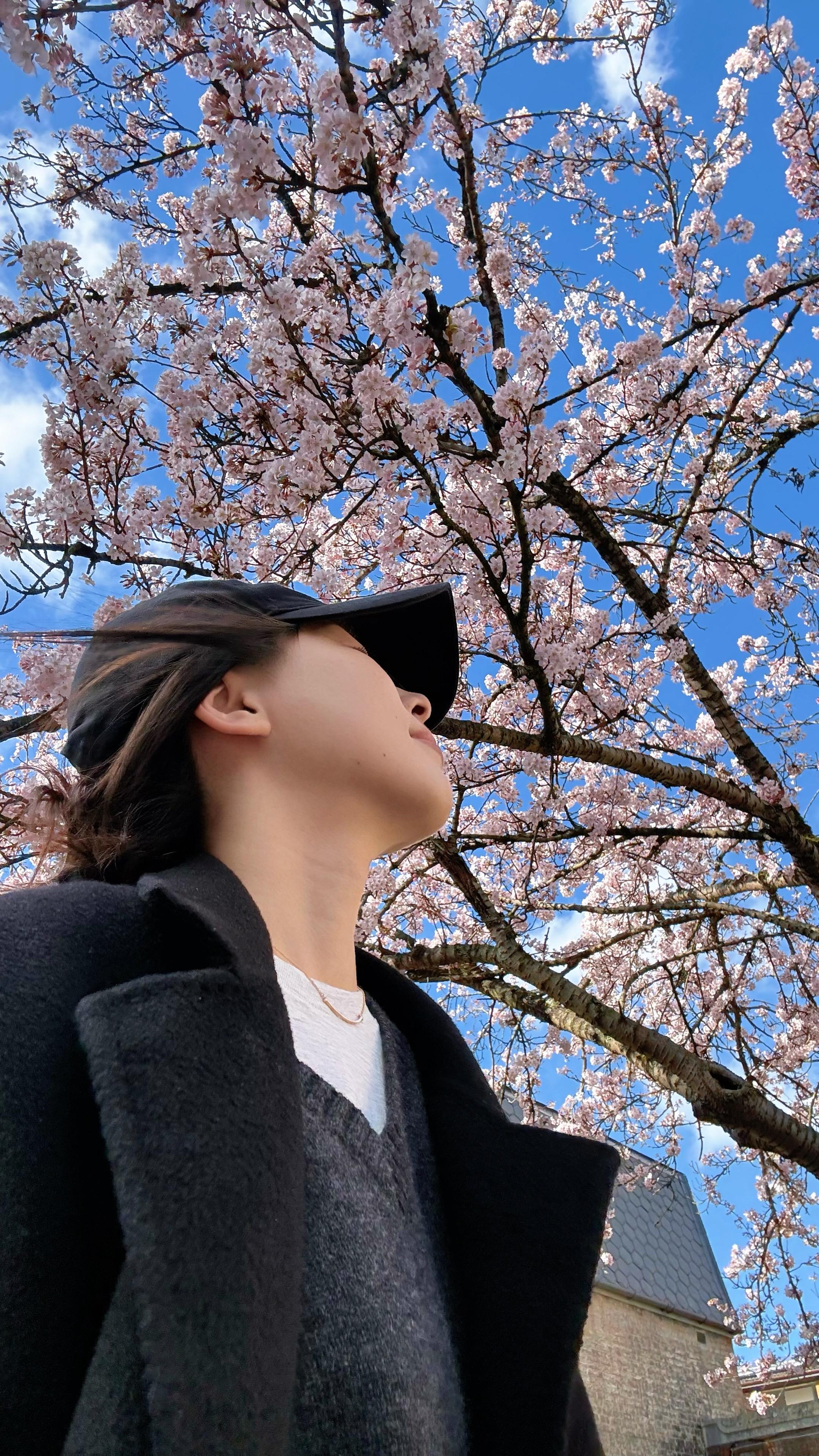 剑桥plog｜眼下是春天！你会慢慢的 好起来 在春天长出新的叶子💐🫧🌳🍃
