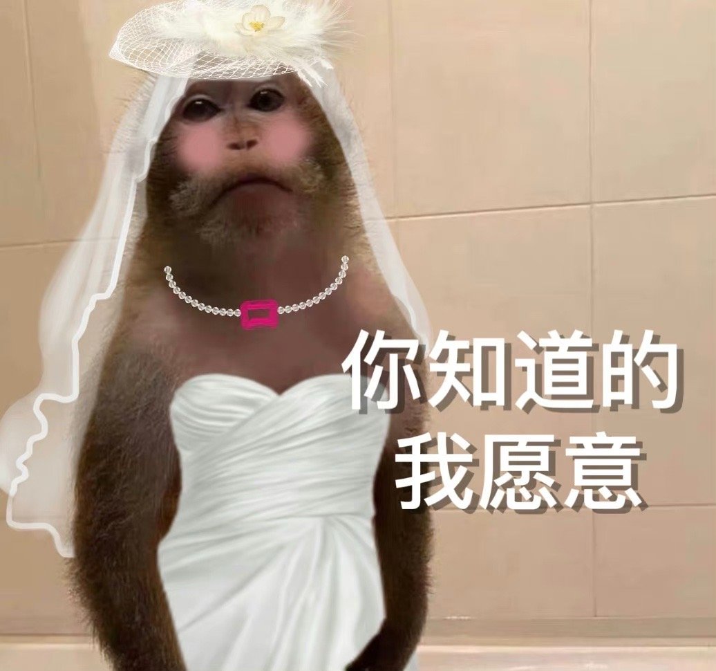 这条收集关于七夕的段子[兔子] ​​​
