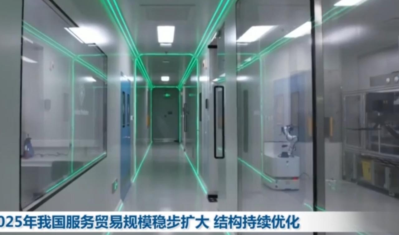 2025年，我国服务贸易规模稳步扩大，结构持续优化。在人工智能大模型、高端制造技